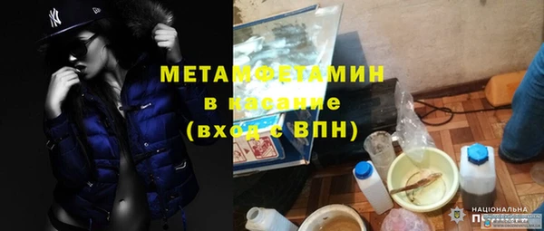 хмурый Алексин