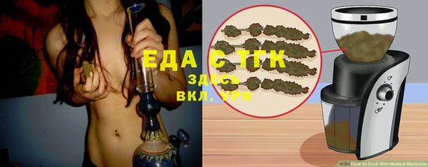 хмурый Алексин