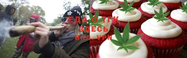 индика Козловка