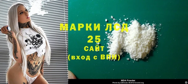 хмурый Алексин