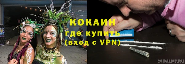 хмурый Алексин