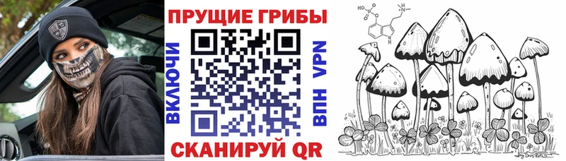 Галлюциногенные грибы мухоморы  наркота  Трёхгорный 